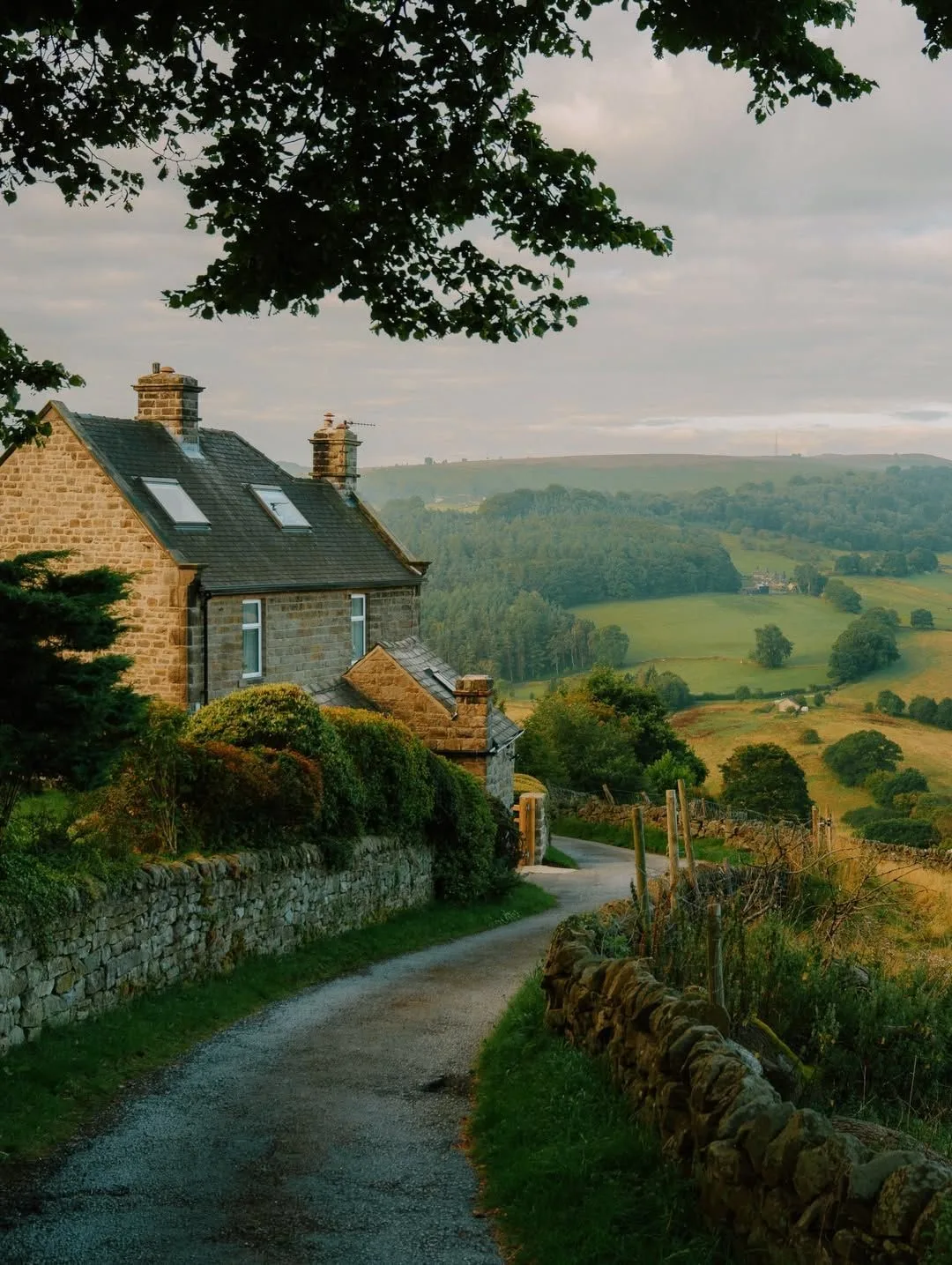 Daniel Casson