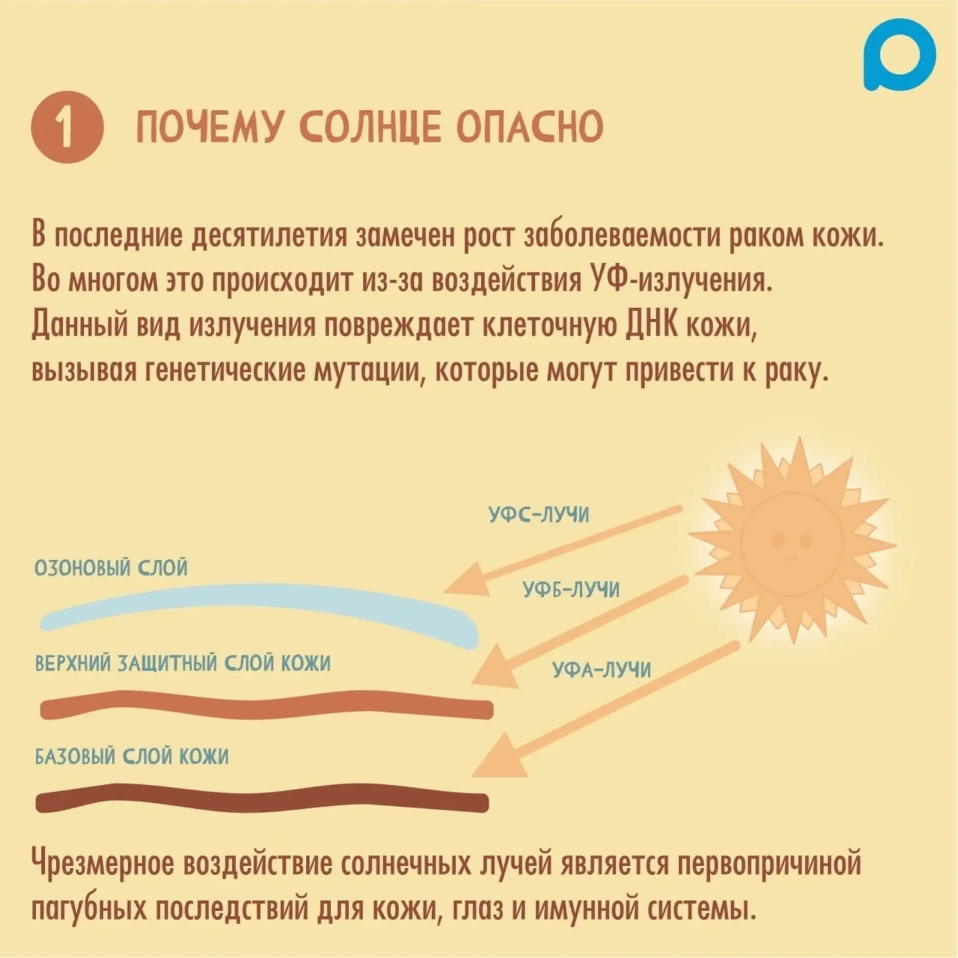 Солнце – это источник света и жизни. Оно необходимо всему живому: человеку, растениям, ...