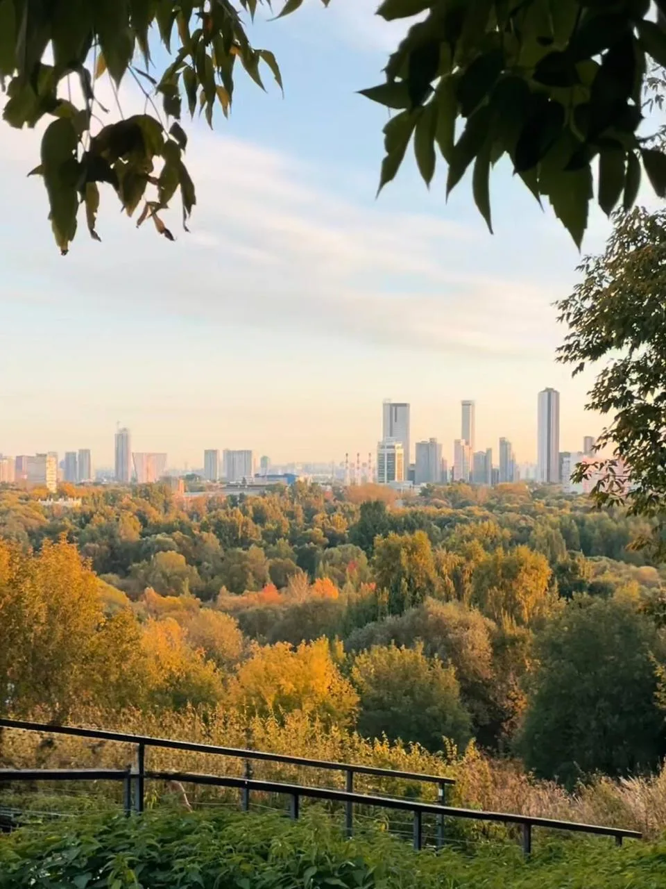 🏙️ Отсюда открываются лучшие виды города