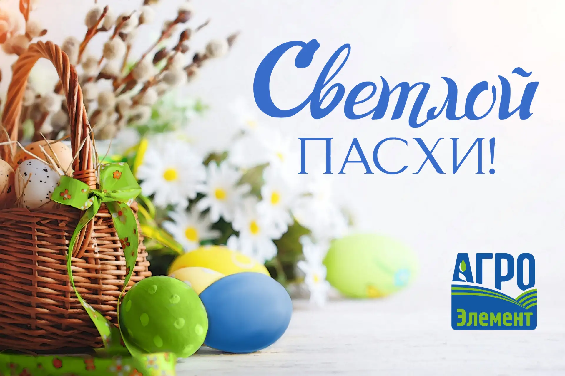 Светлой Пасхи, дорогие друзья! Пусть этот праздник наполнит дом теплом, душу — покоем, ...