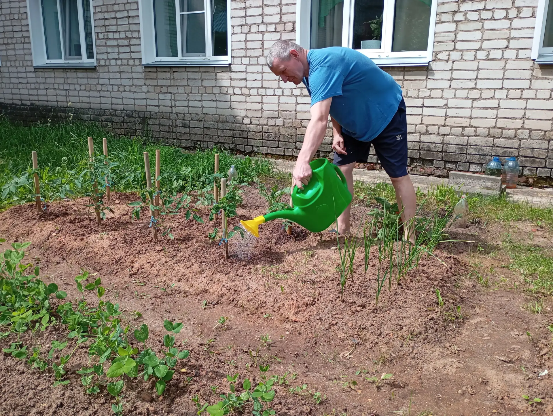 Наш огород: трудности, терпение и первые плоды!

🥕 Мы уже рассказывали, что вместе с нашими прожива