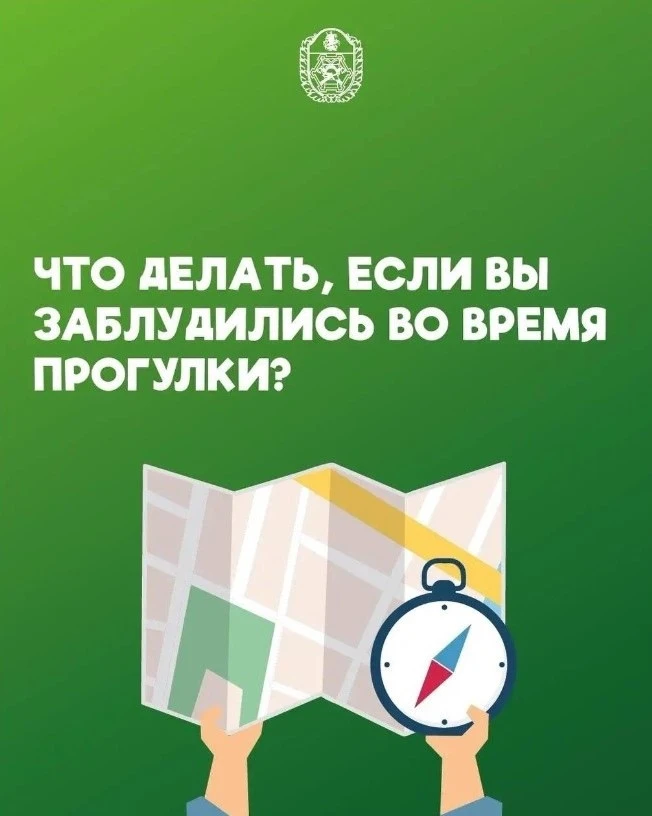 Когда лес становится лабиринтом

🧐 Оказавшись без средств связи среди бесконечных деревьев и не пон