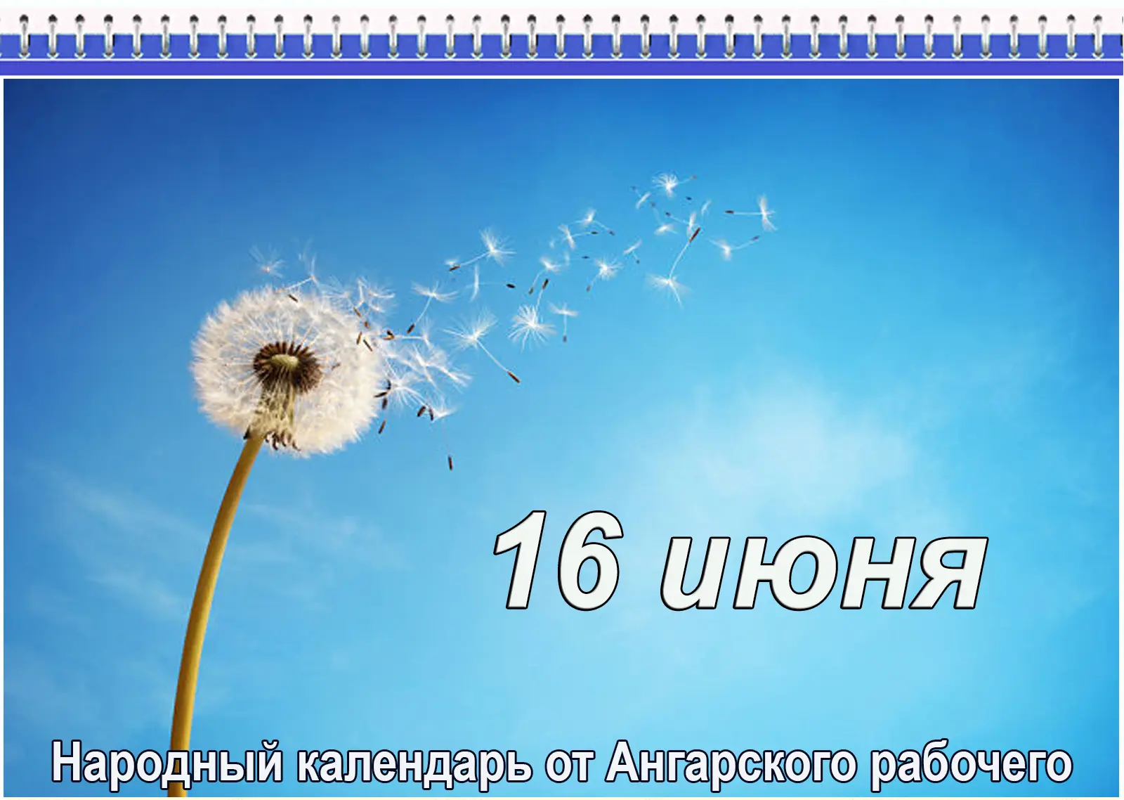 Что может случиться с деньгами на Лукьяна-ветряка
16 июня. Лукьян ветряк 
День свежих овощей
День че