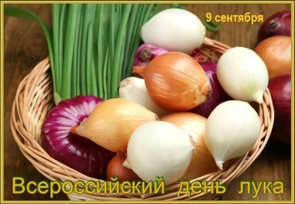 День лука 🧅в детском саду: весело и познавательно!🎊
