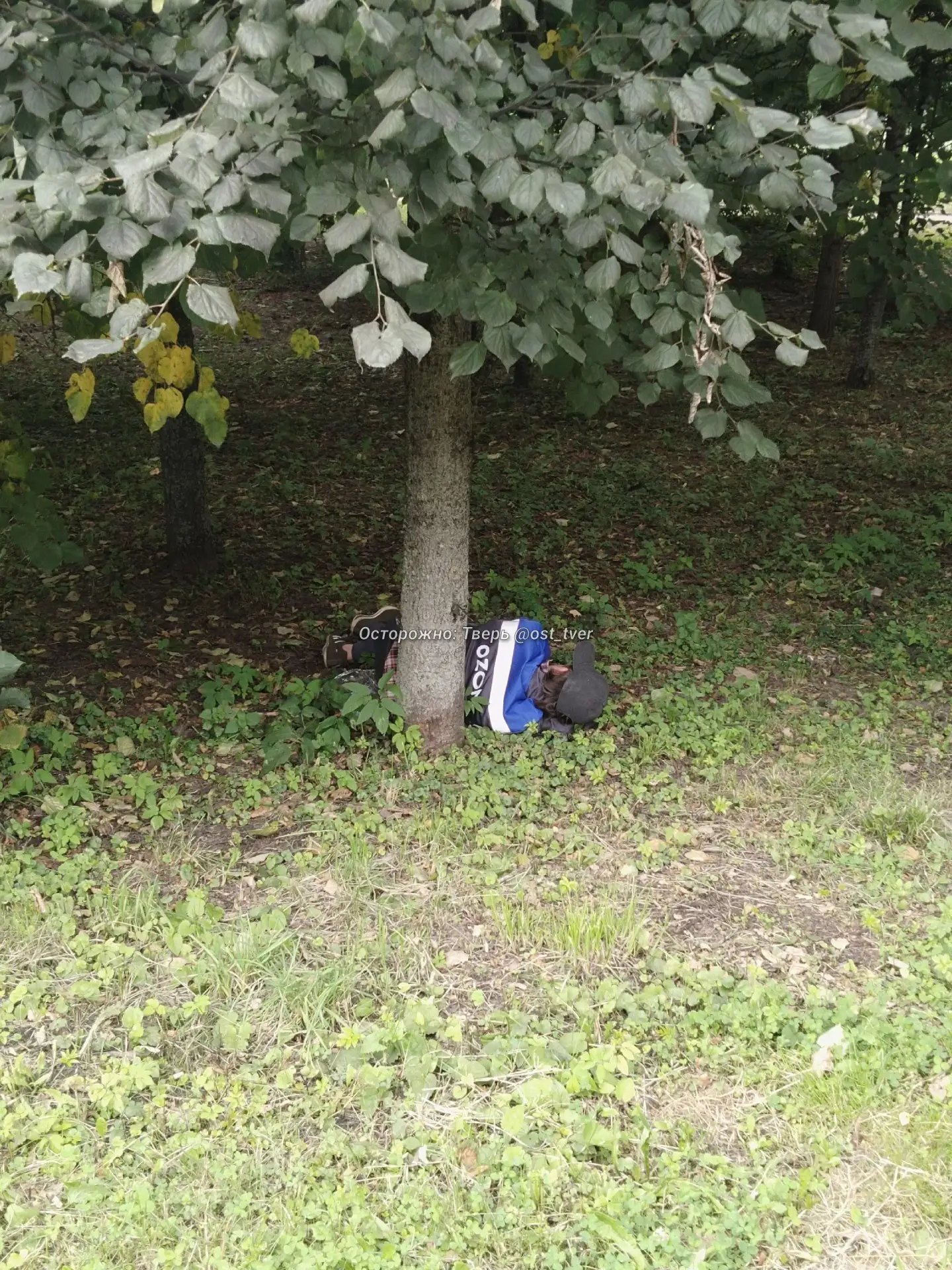 Чья потеряшка с Ozon? 😂