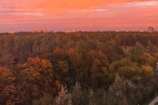 📸 Виды Филевского парка
