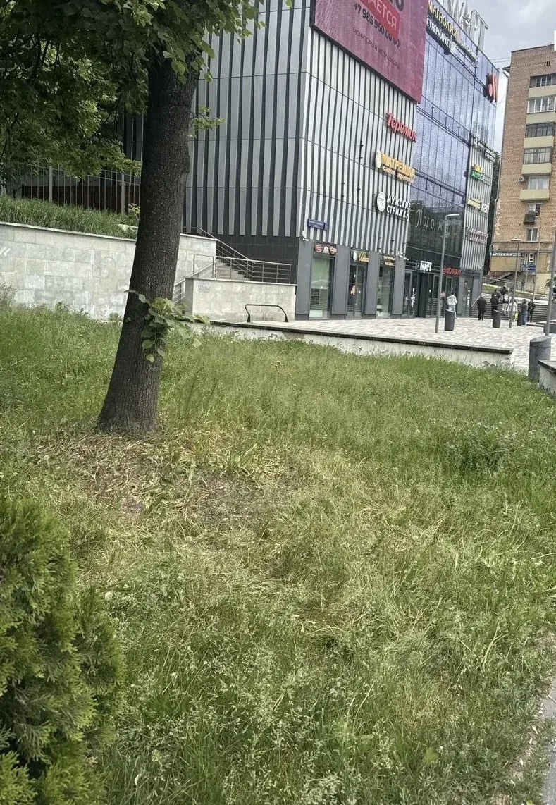 До/после