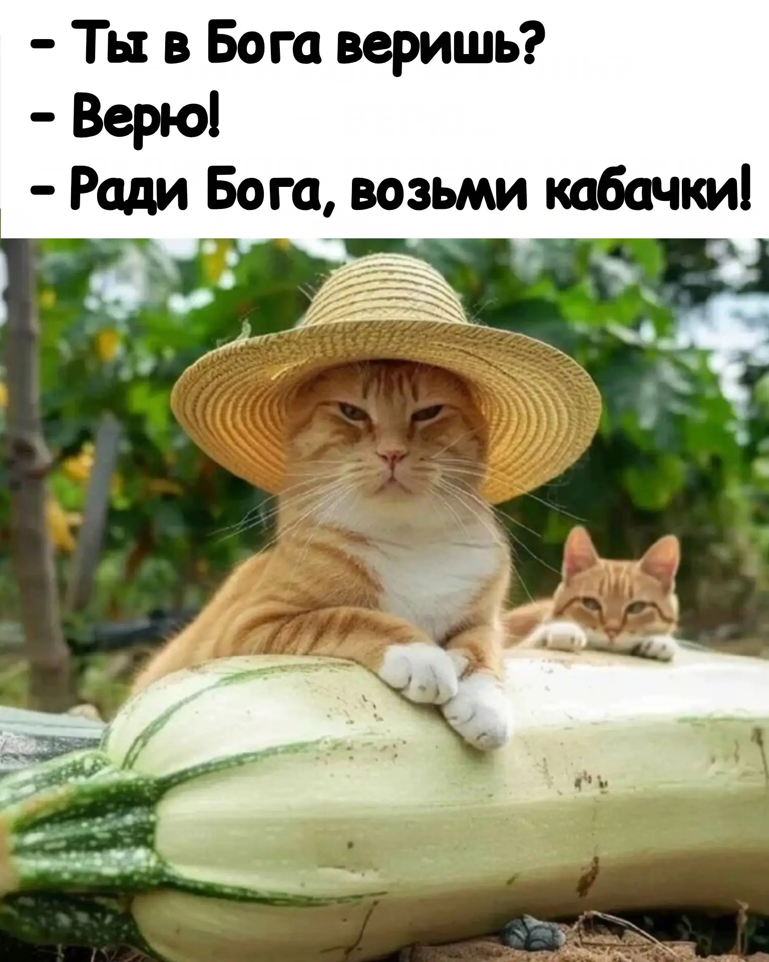 Все ещё не с нами? Подпишитесь!