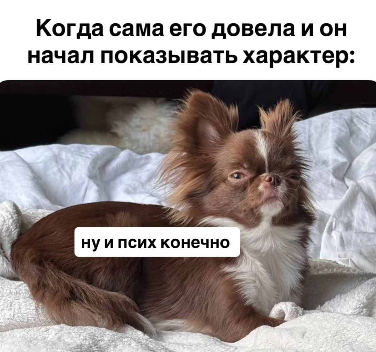 Классика 🤪 @insidemediaru