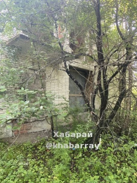 🚧 Опасный детсад не снесли, а просто заколотили