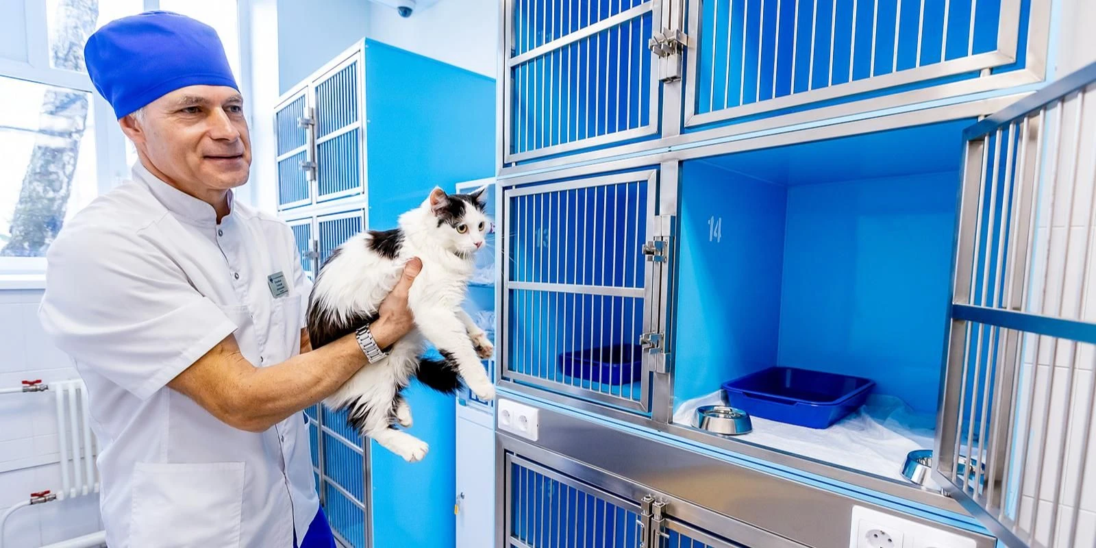 😻 Круглосуточные ветеринарные стационары Москвы подключили к единой системе ВетАС. Теп...