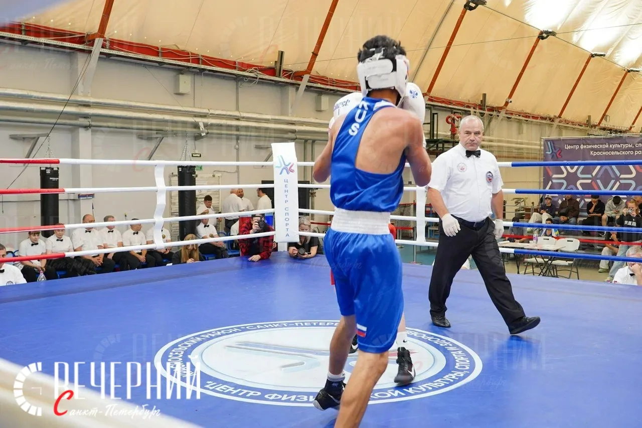 🥊 В Петербурге завершились соревнования по боксу на призы Николая Валуева