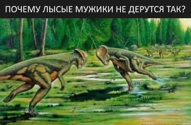 #ДИНОМЕМ