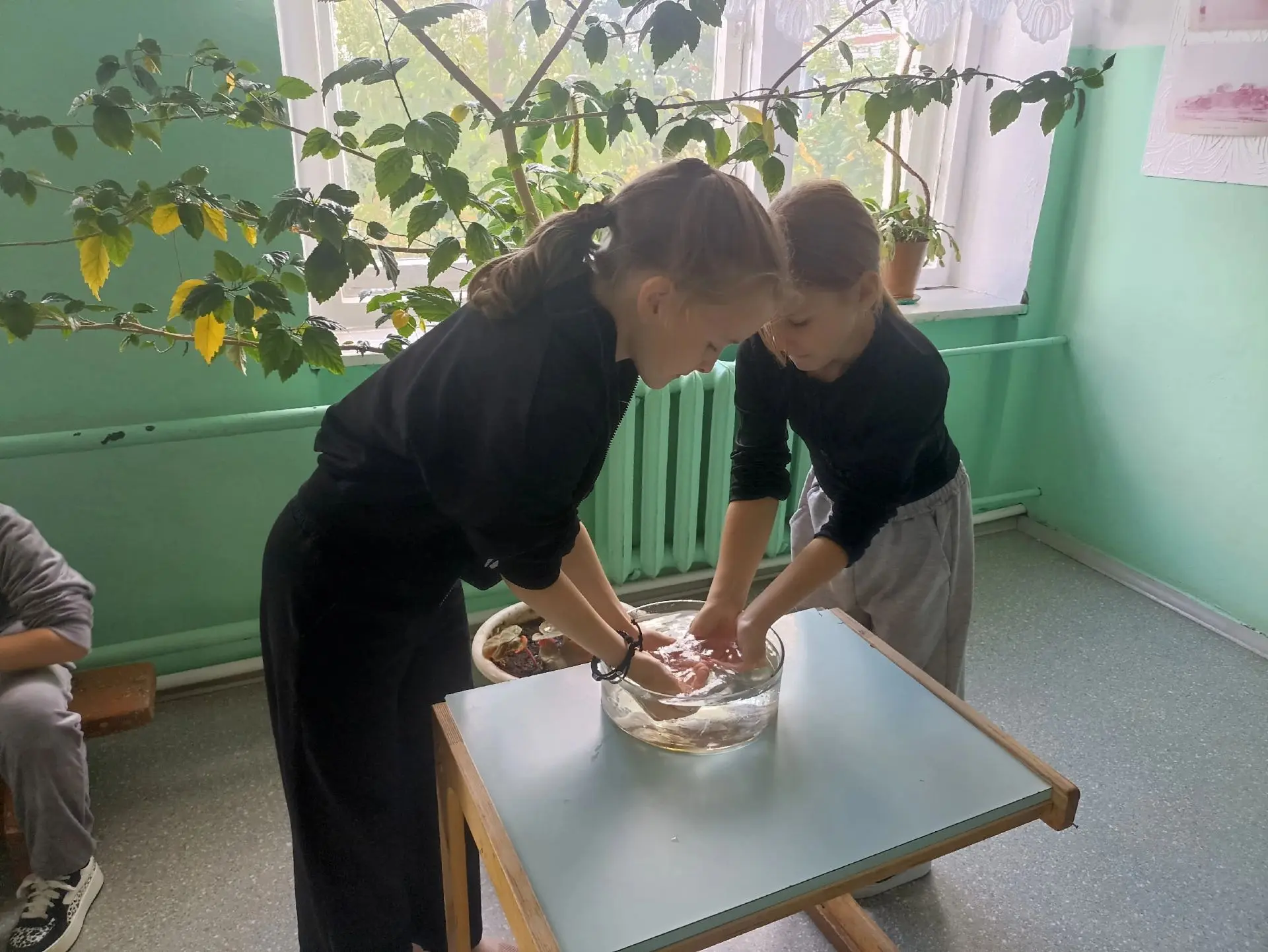 🌸💧КАПЛЯ ЖИЗНИ💧🌸