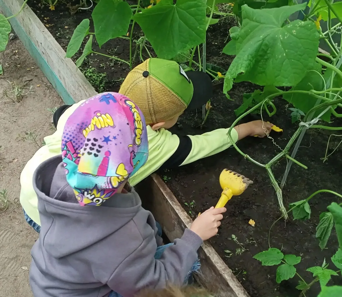 🥒 САМЫЙ ХРУСТЯЩИЙ ДЕНЬ!
Весной наши маленькие огородники посадили семена, поливали, рыхлили и ухажи