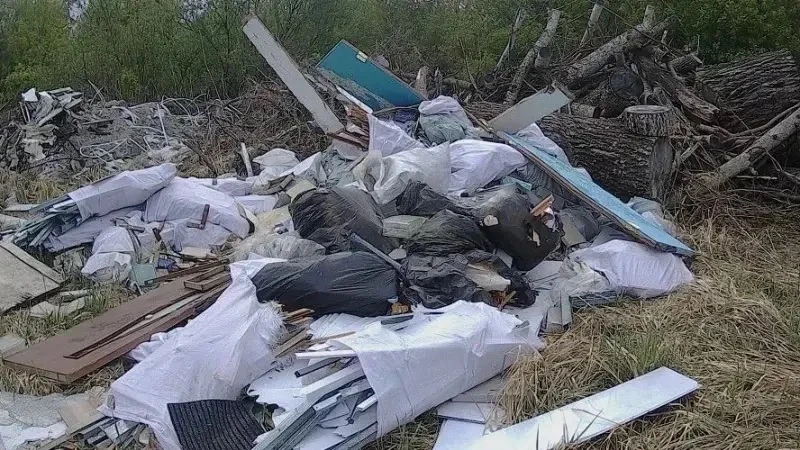 Незаконную свалку на 400 "квадратов" нашли возле Фирсово в Алтайском крае