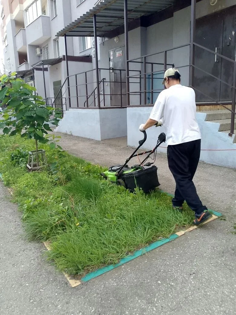 🌱🔧 СЕЗОННЫЙ ПОКОС ТРАВЫ — ул. Советской Армии, д. 203