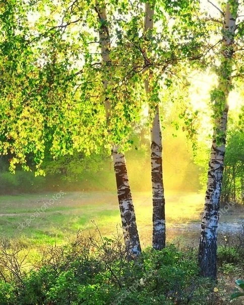 🍃🌼🍃

Любят Родину не за то,
что она велика, а за то,
что своя.

~ Сенека Луций Анней (Младший) ~
