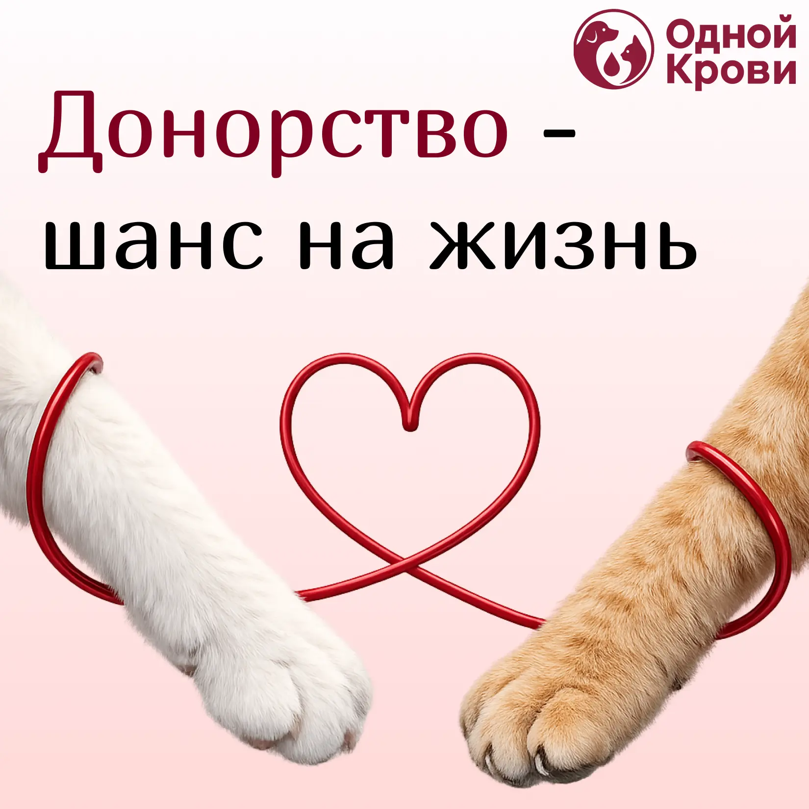 14 июня — Всемирный день донора крови

Донорство начинается с желания помочь. Именно оно объединяет 