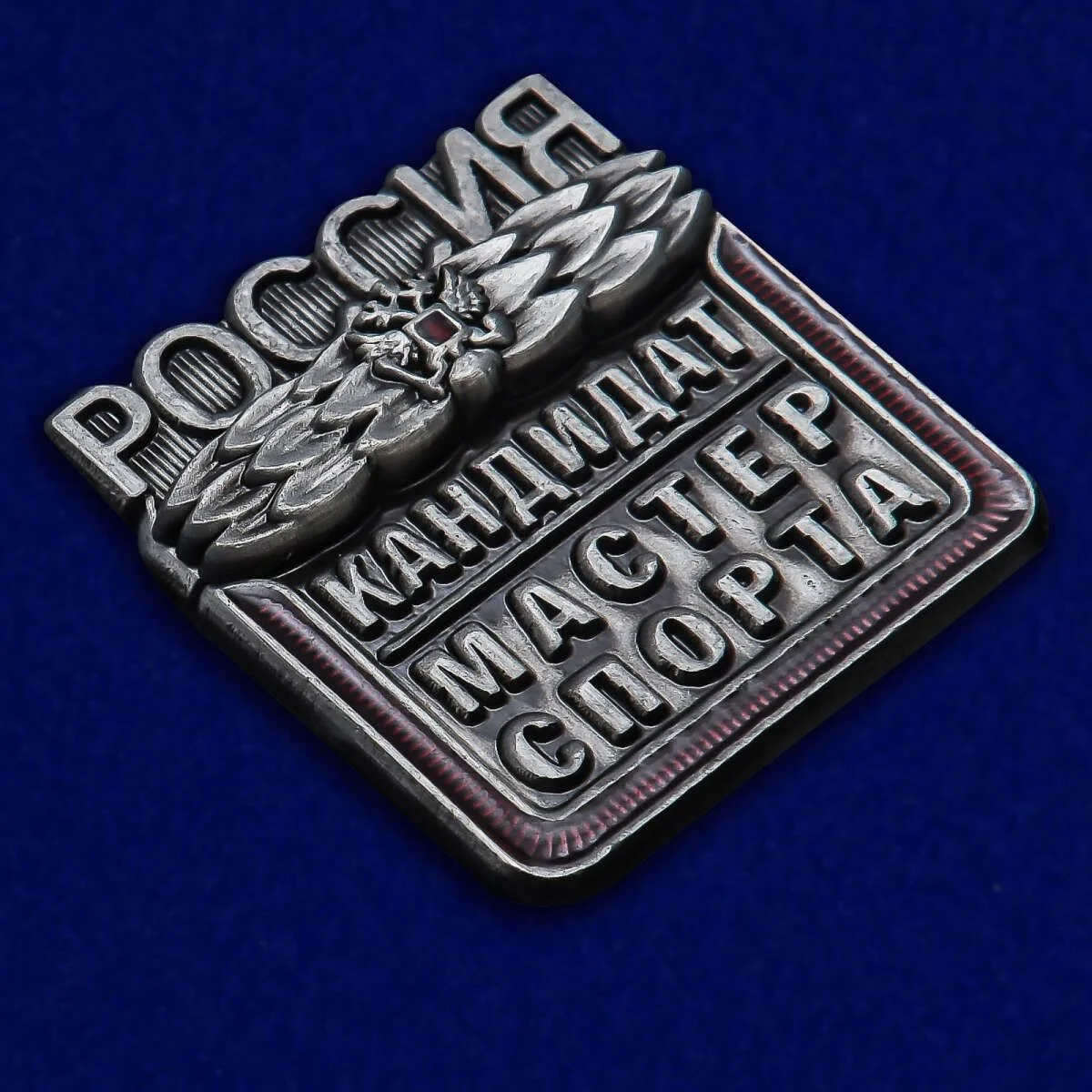 💪Пополнение среди КМС.
