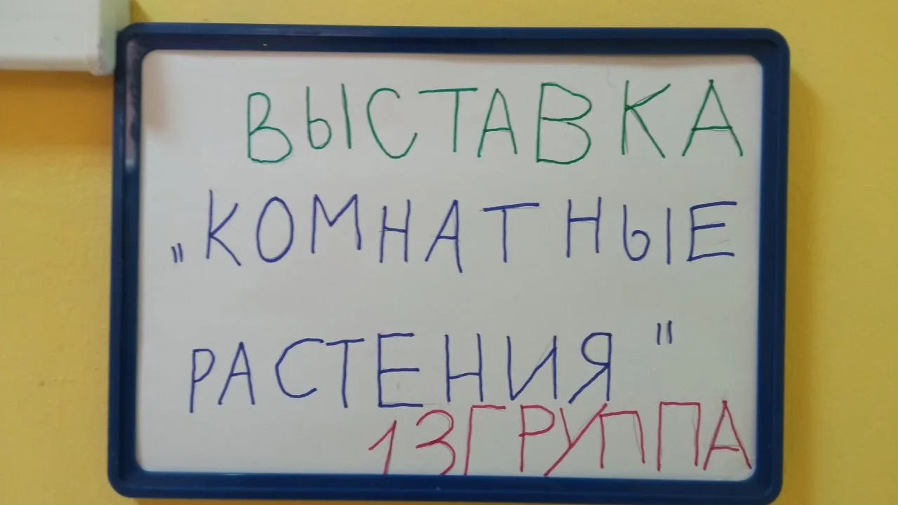 Ребятам 13 группы Татьяна Сергеевна рассказала о растениях нашего зимнего сада и подари...