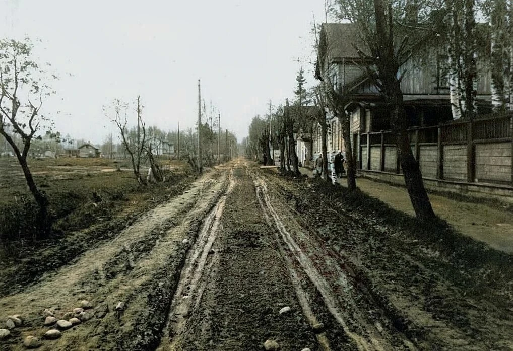 🌲 Удельная и «Скворешня»: вид на психиатрическую больницу, 1920 год.