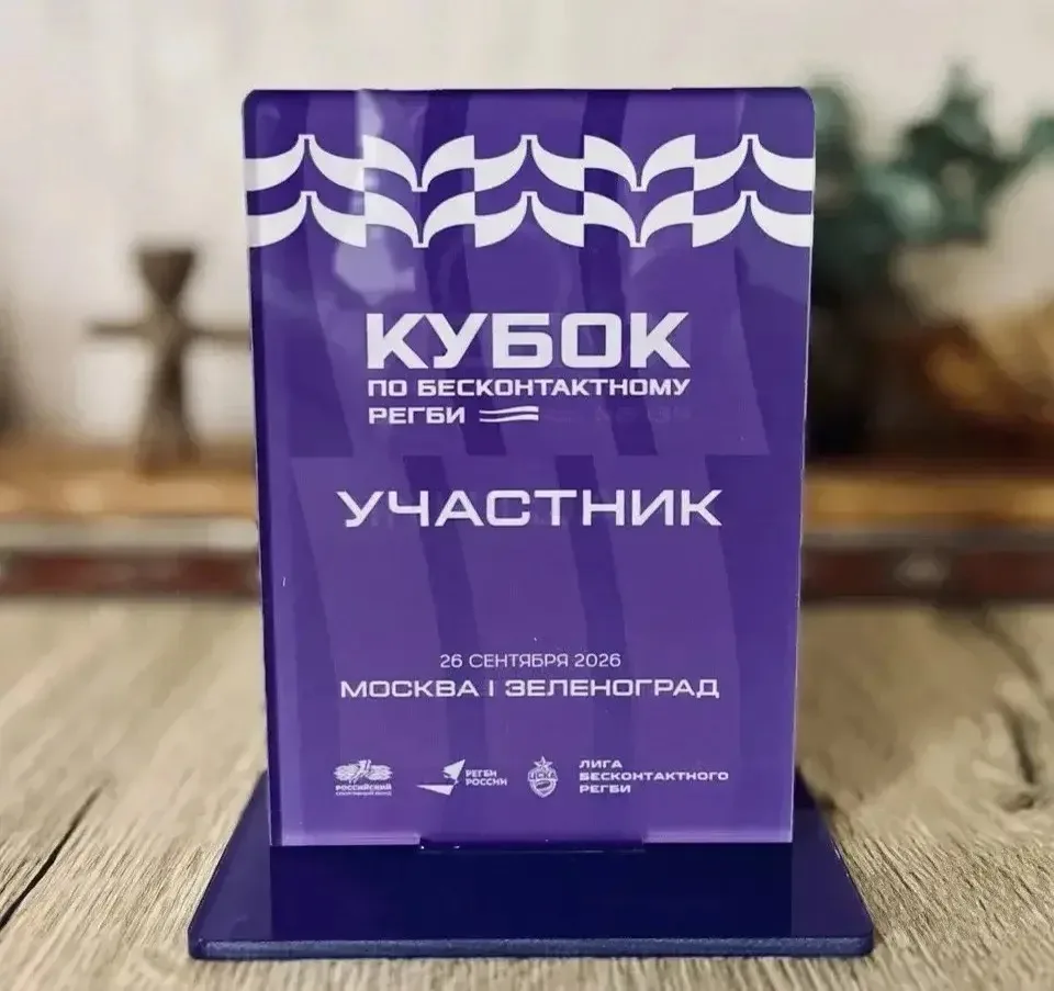 ТЕГ-РЕГБИ: МЕЖРЕГИОНАЛЬНЫЙ ТУРНИР — КАК ЭТО БЫЛО