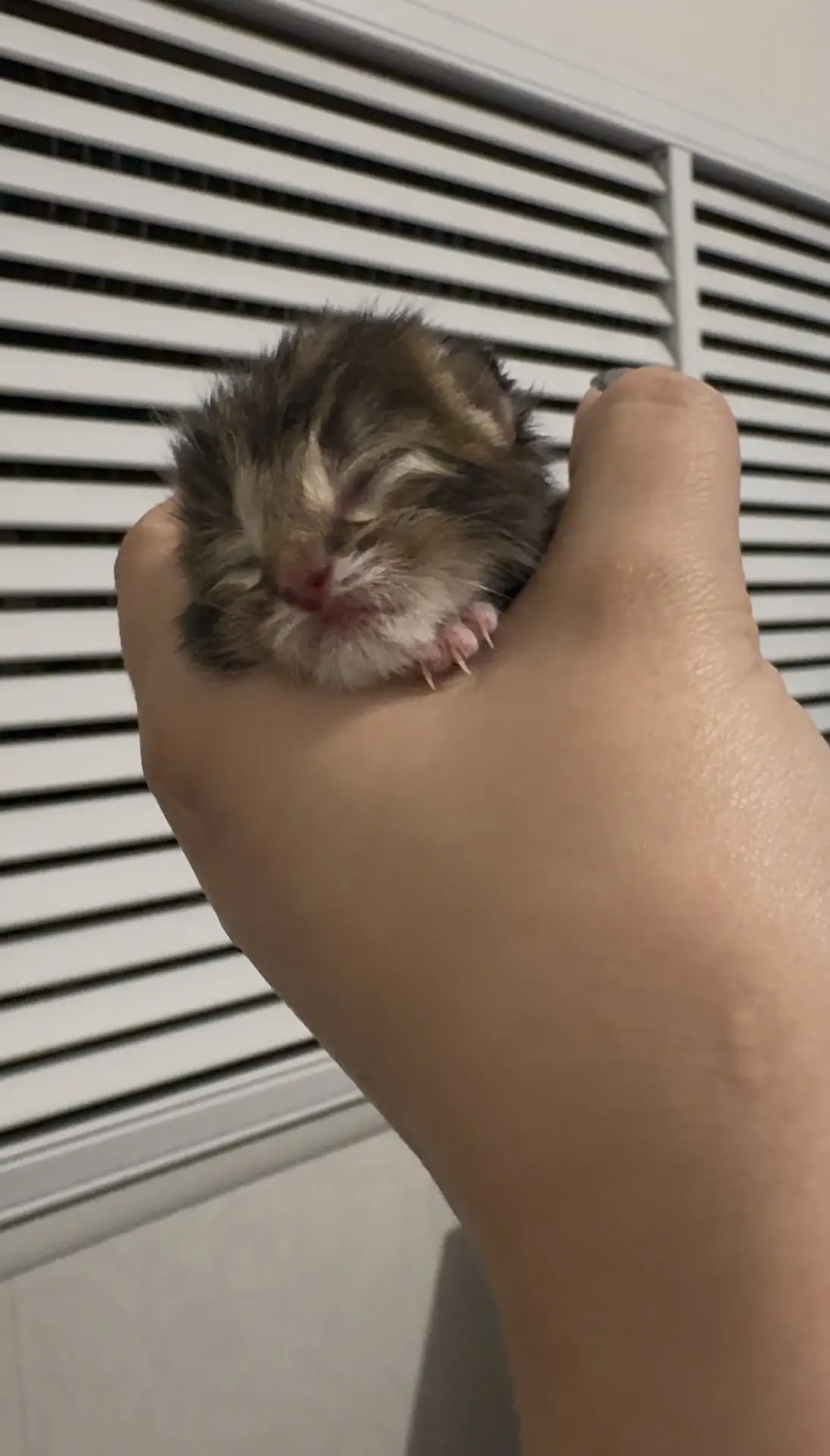 🐾 Хэппи-энд на ветучастке Алдана! 🐾

Друзья, хотим поделиться с вами историей, в которой профессио