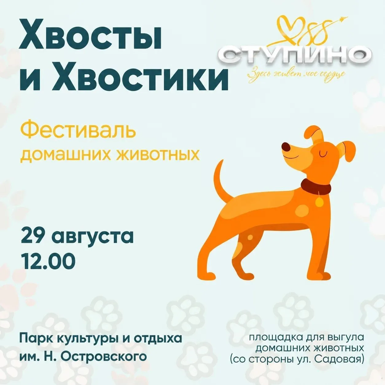 🐶 «Хвосты и хвостики»: 29 августа — праздник для животных и их хозяев