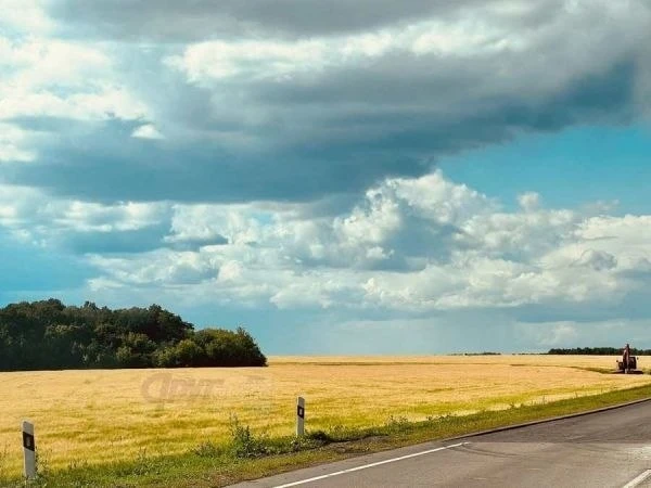Какая погода на выходных 8-9 августа ожидается в Курской области

Специалисты ФГБУ «Центрально-Черно