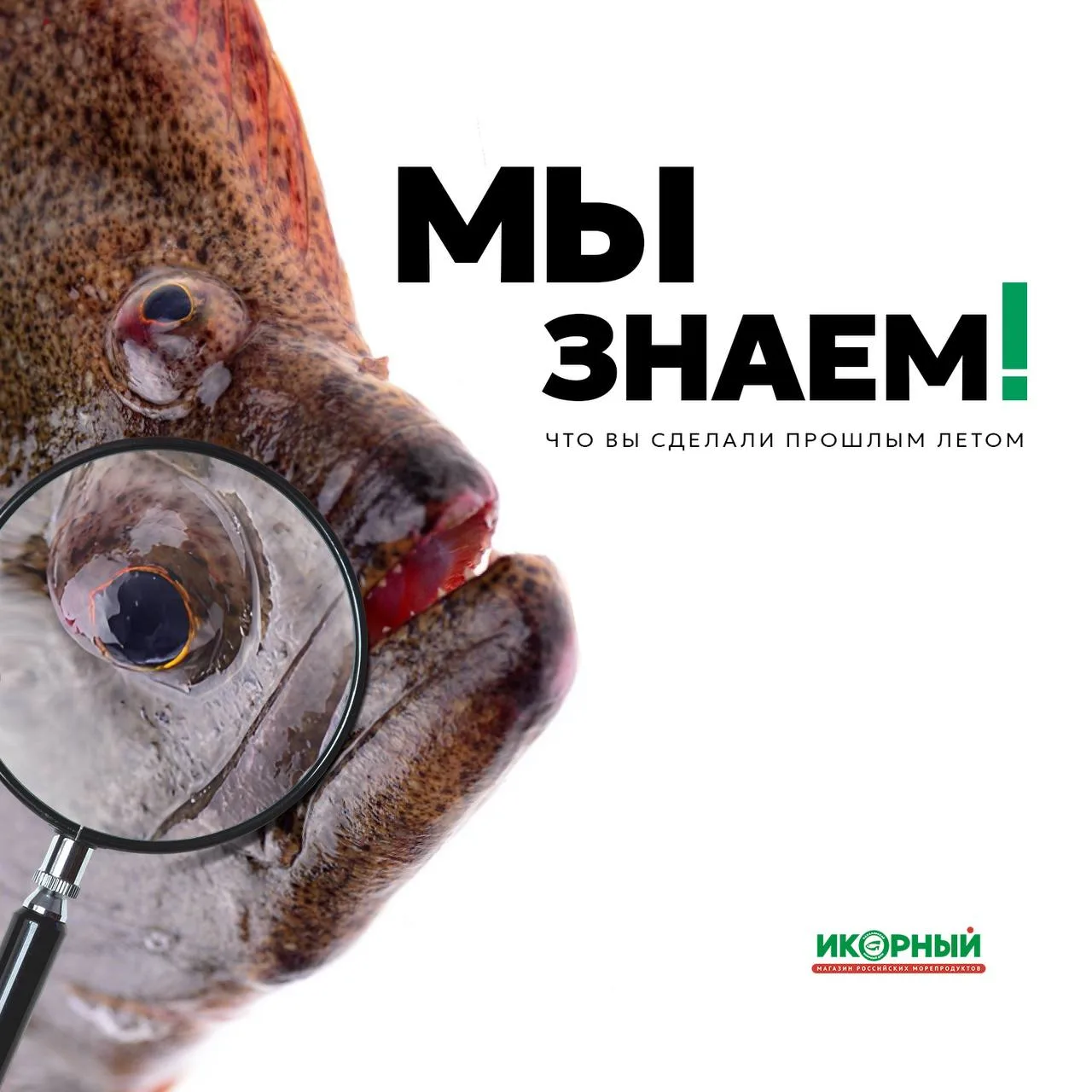 Мы знаем, что вы сделали прошлым летом

Вы просто не знали, что… 

У каждого жителя Москвы есть возм