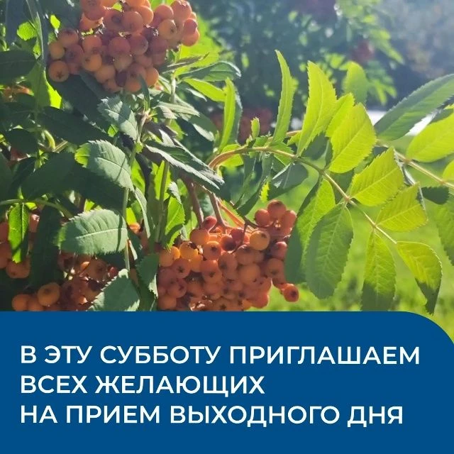 Субботний прием по земельным и имущественным вопросам❓ 

📅 25 июля министерство имущественных и зем