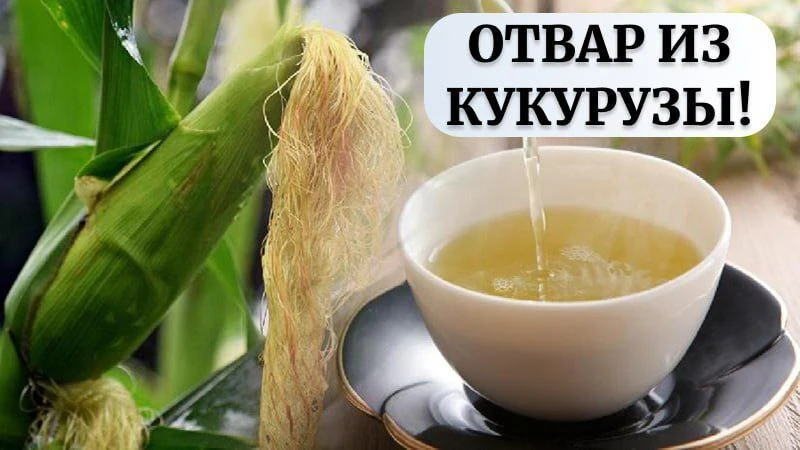 Как с помощью кукурузы можно избежать операции на коленях! 🌽