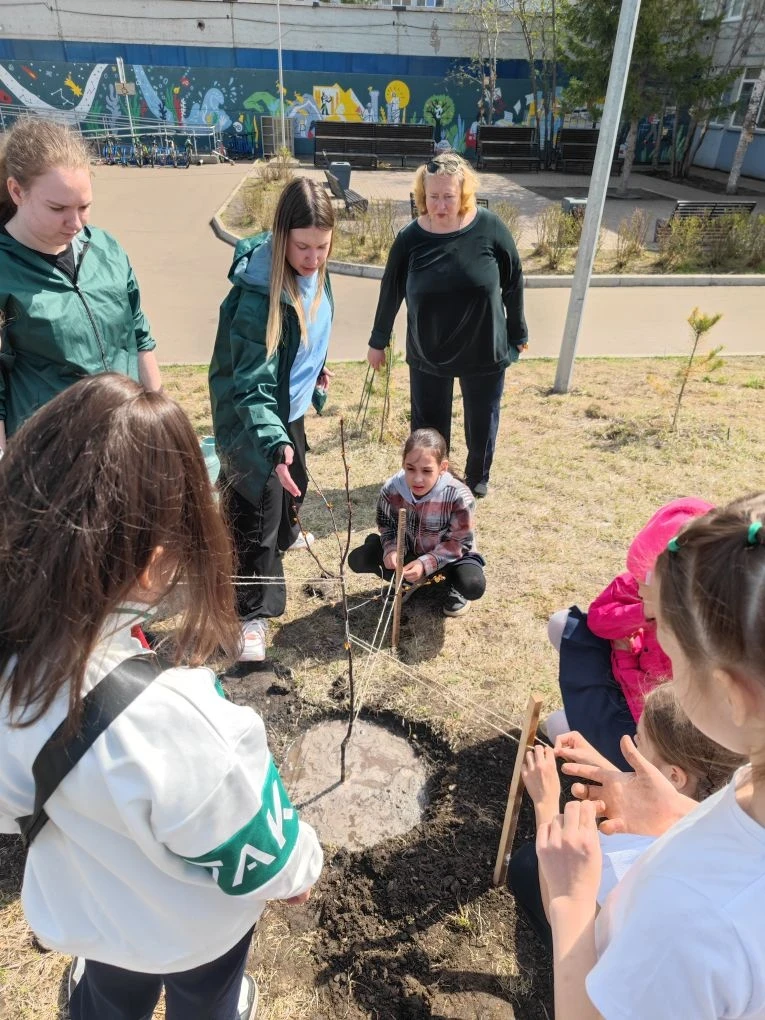 Акция "Сад Памяти"  🌳 Ребята 3 Е класса совместно с третьекурсниками Института лесных технологий Сиб