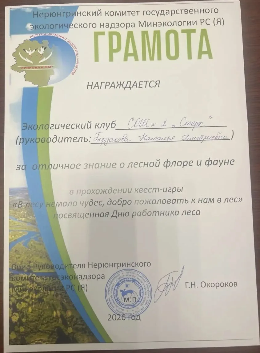 Наши ребята в трёх соснах не заблудятся!... 🤩🍁🌿