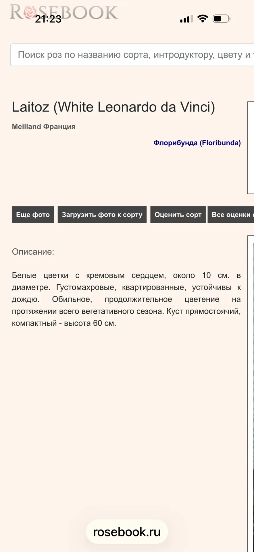 Изображение 3 к публикации «Садовая кухня с Людмилой Кудасовой»