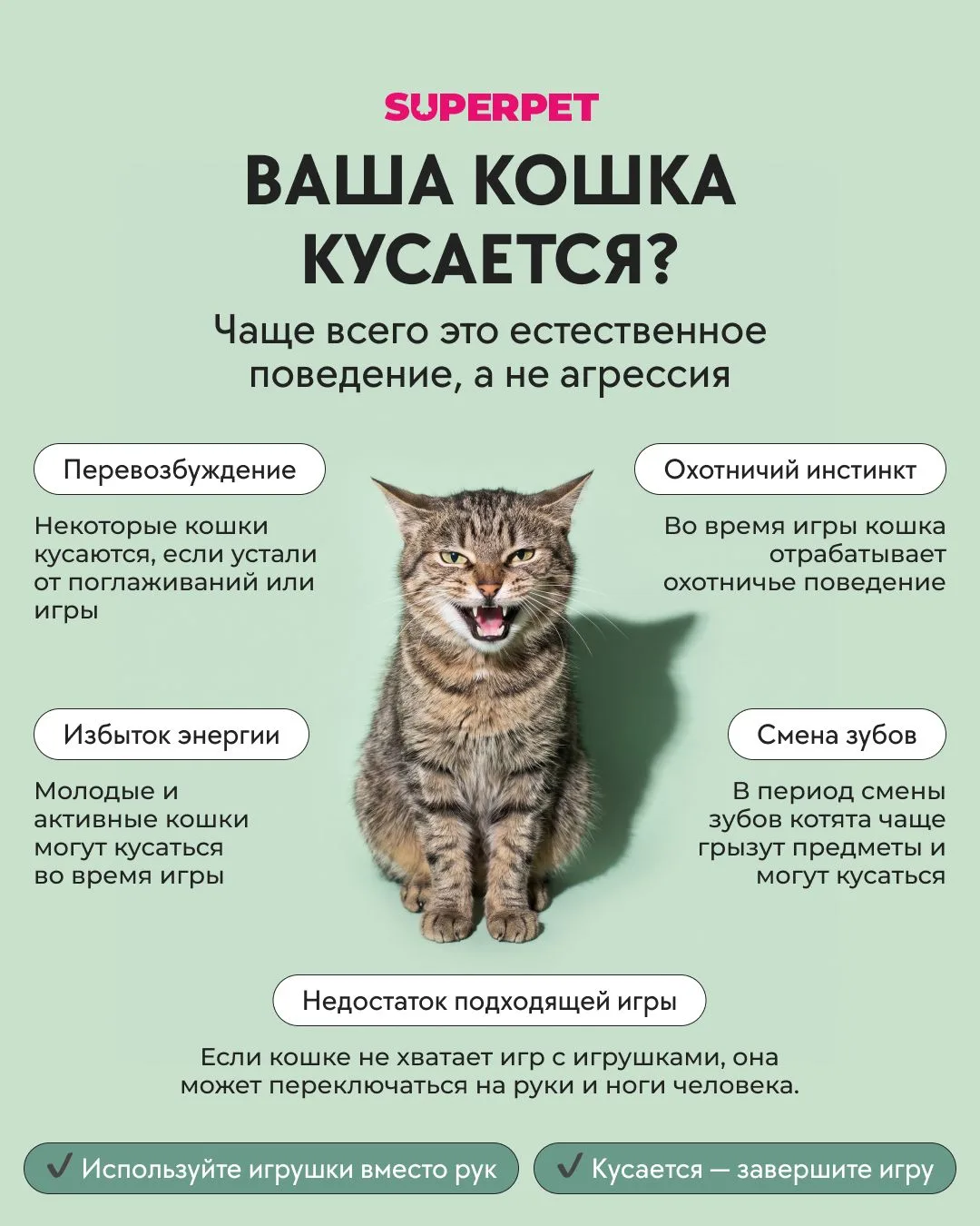 Ваша кошка кусается?
