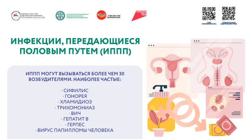 🧬 ВИЧ и СПИД: коротко о главном 🧬
ВИЧ (вирус иммунодефицита человека) — это вирус, который атакует