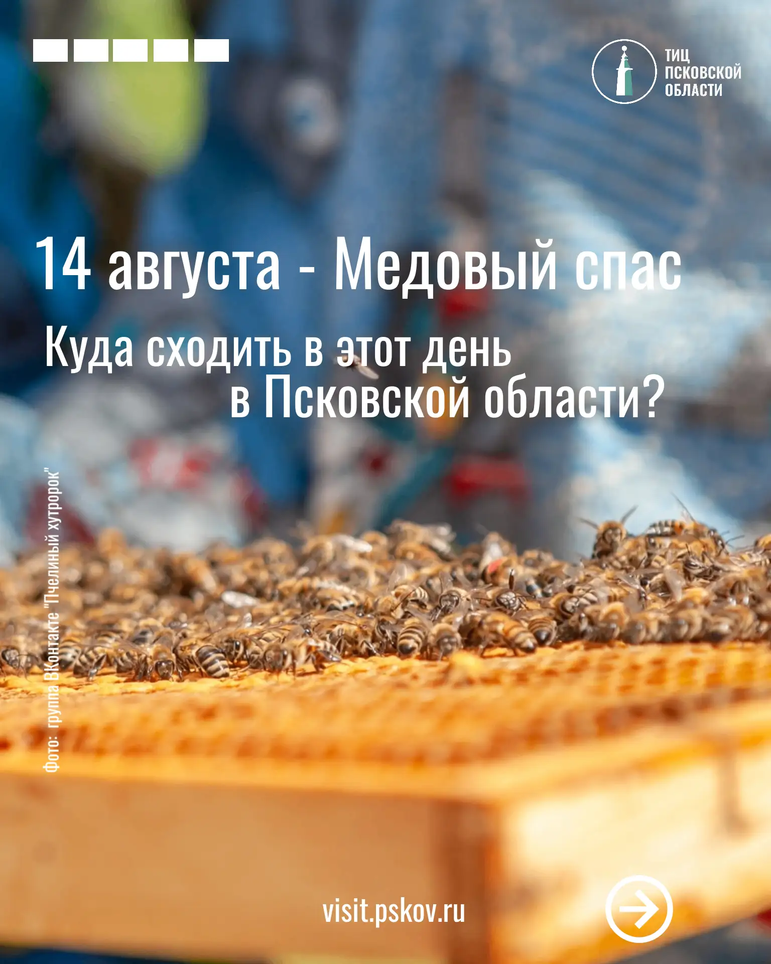 🐝 14 августа — Медовый спас. Куда ехать за настоящим псковским мёдом и душевным отдыхом?