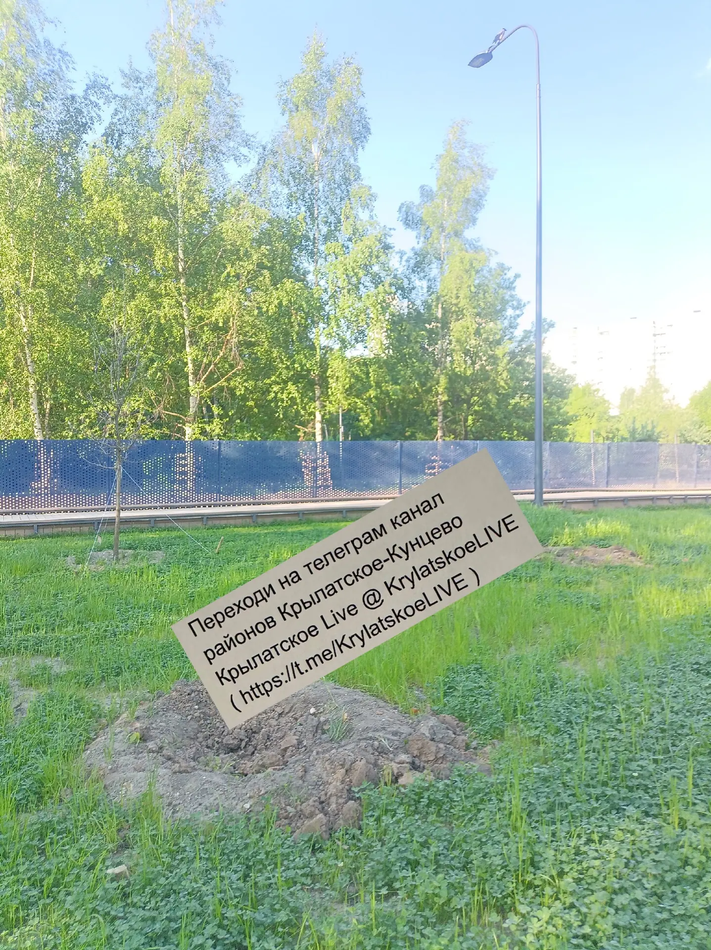 На благоустроенной поляне в парке на Крылатских холмах исчезли некоторые посаженные в прошлом году д