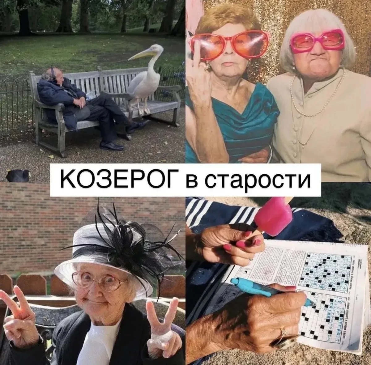 📻 Радиогороскоп