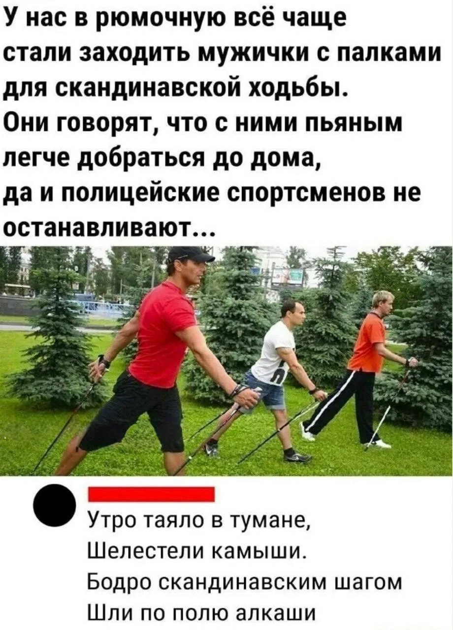 Северный Мишка