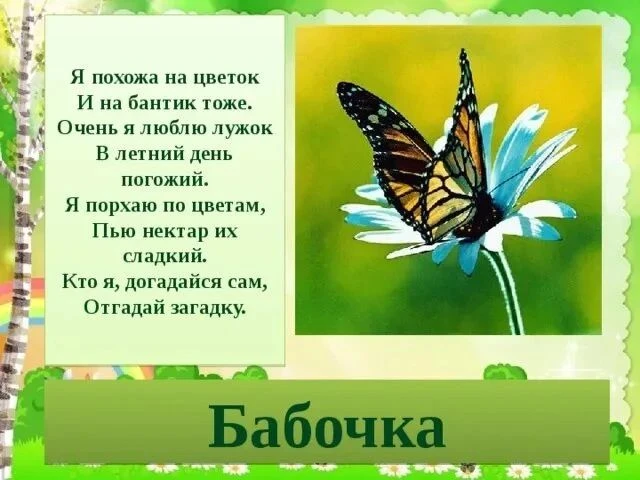Продолжаем нашу рубрику о маленьких исследователях! 🌸

Сегодня в группе "Матрешки" прошла удивитель