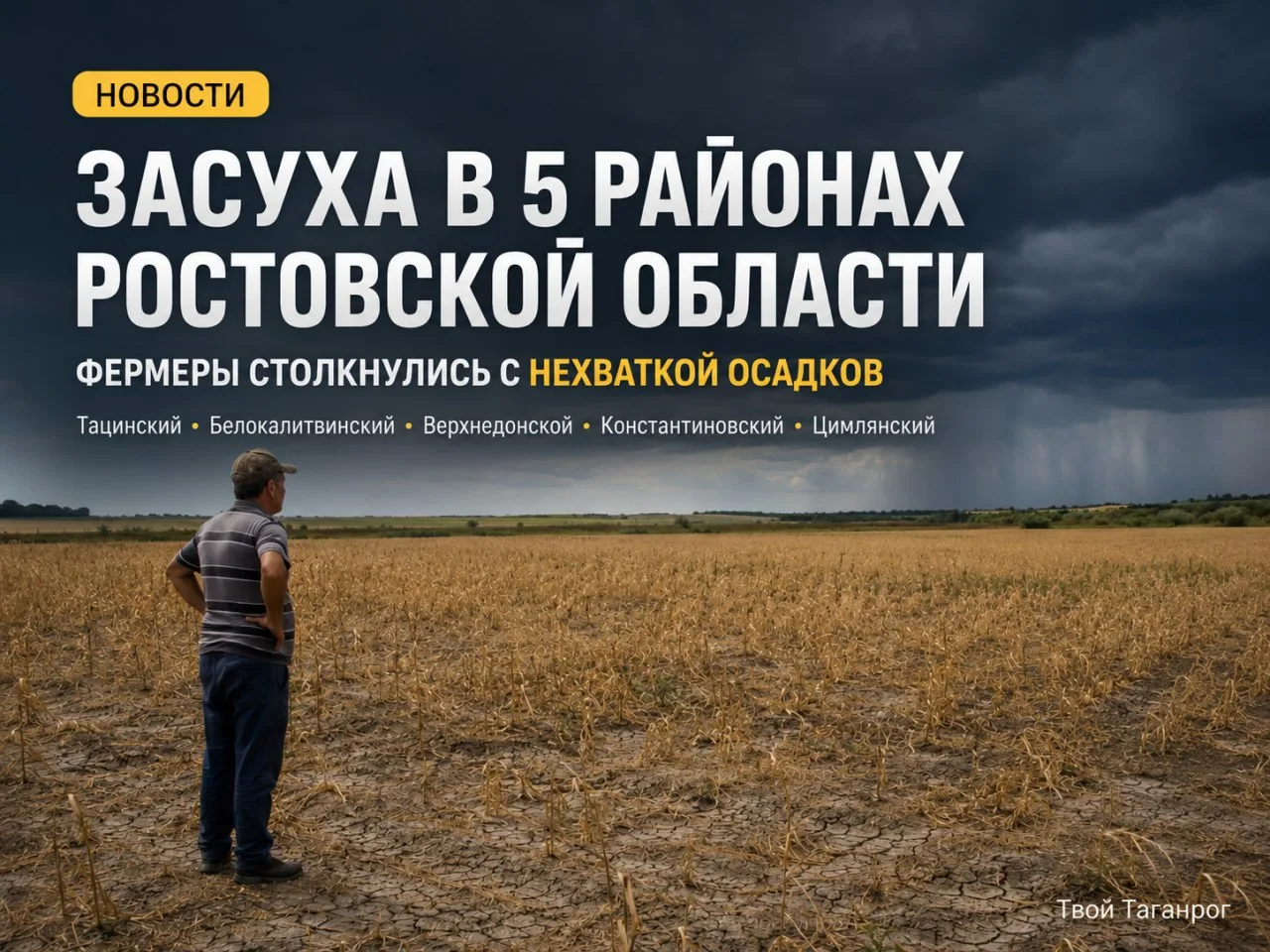 ⚡ В пяти районах Ростовской области началась засуха!