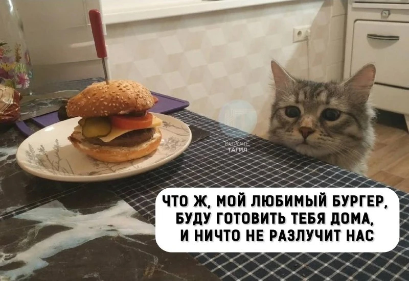 🍔 Детям на Урале хотят запретить продавать фастфуд и газировку