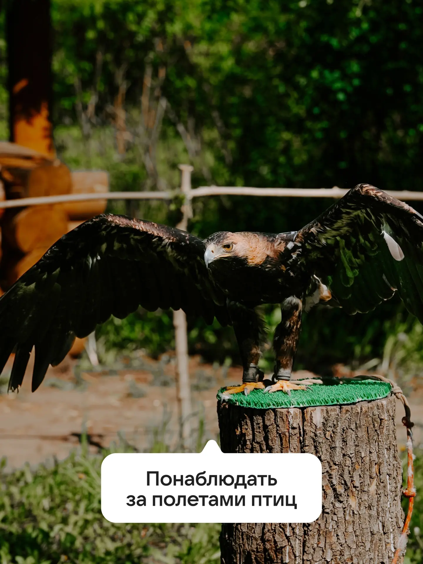 Каждый уважающий весну человек должен ежегодно выполнять эти 6 пунктов! 🤫  Но бегать по полю из одув