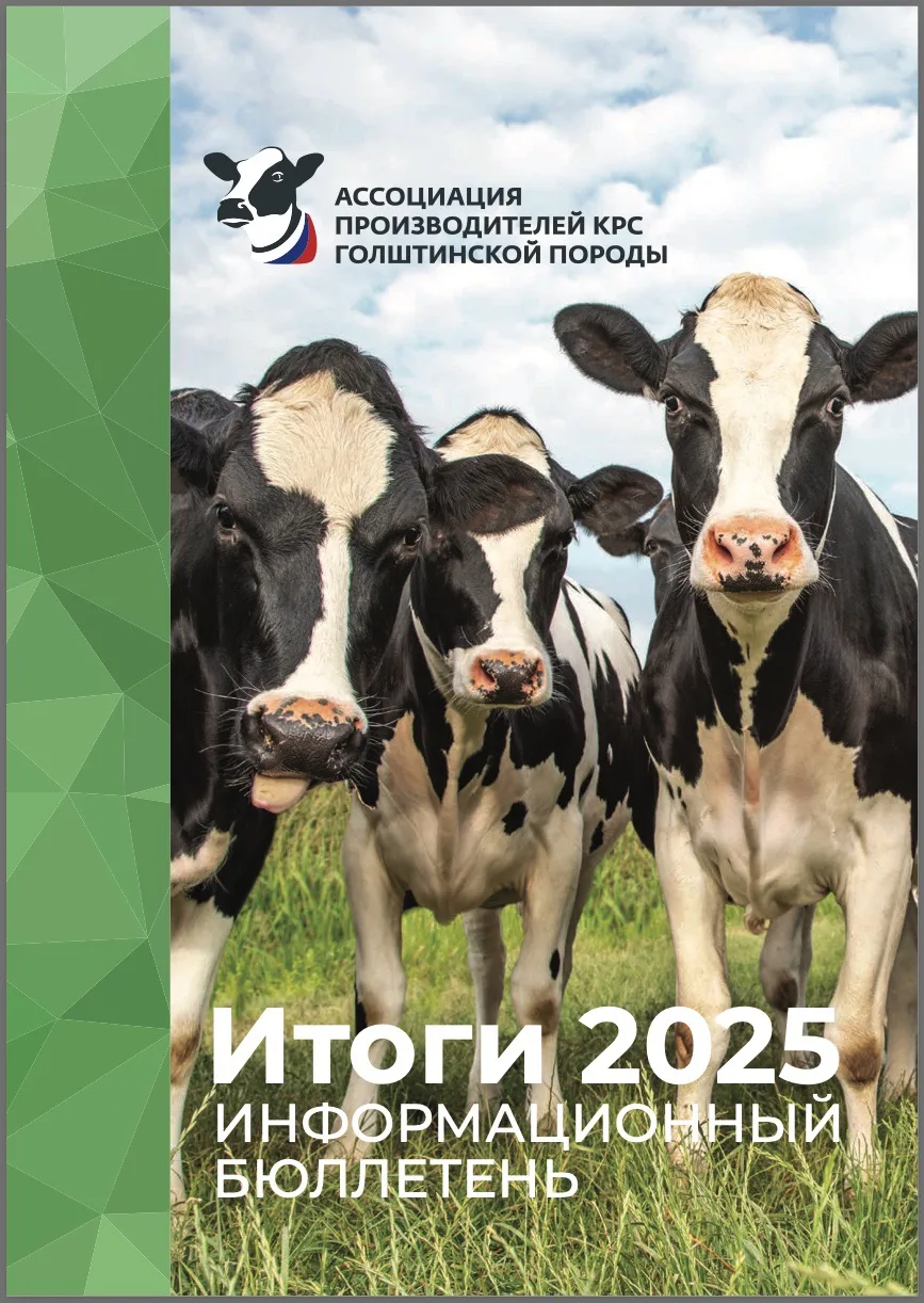 🚀 Информационный бюллетень Ассоциации – 2025