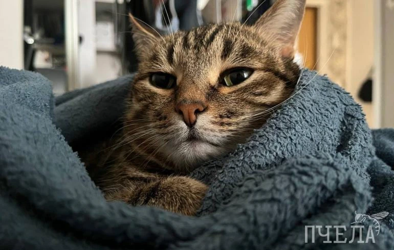 🔥 В Челябинске с понедельника, 5 октября, начали запускать отопительный сезон. Около 1...