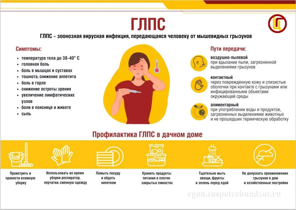 Профилактика ЛГПС в частном доме
