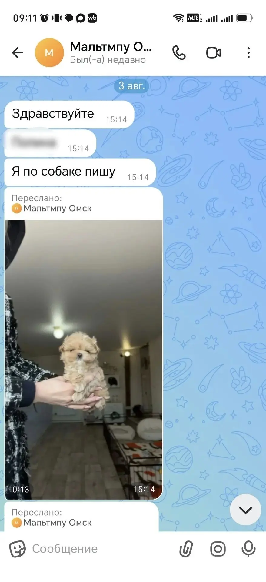 Использовала смерть несуществующей дочери как оправдание: в Шарыпове полицейские раскры...